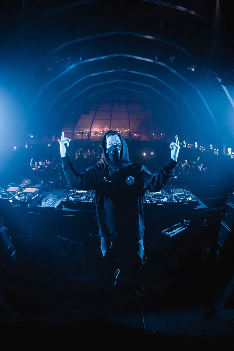 Alan Walker in 'World We Used To Know' hoodie performing at a concert with hands raised.