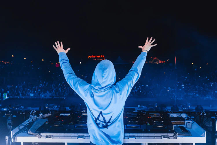 Epic stage moment with Alan Walker, the back of the Blue Stage Hoodie facing a sea of fans, a must-have for concert goers.