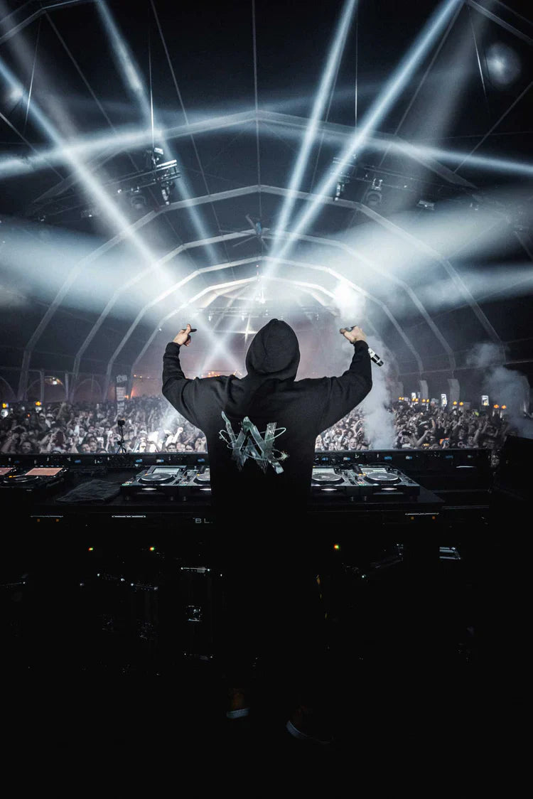 Alan Walker wearing 'World We Used To Know' hoodie at a live music event with a vibrant light show.