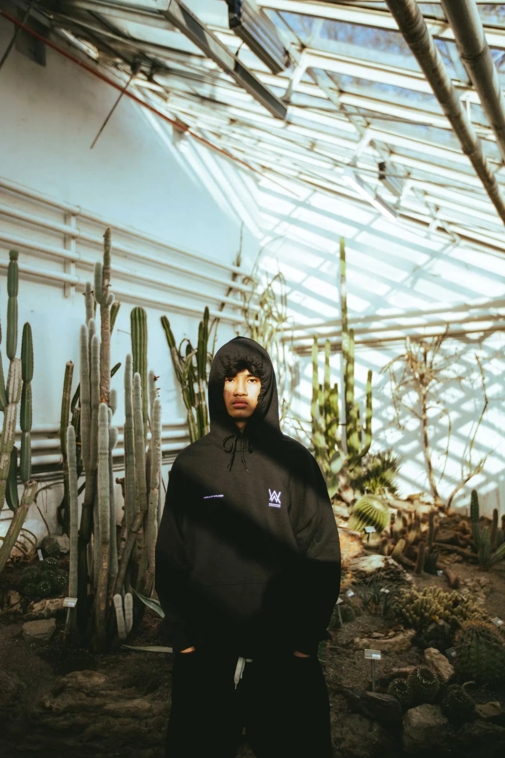 Fashion meets nature with the Melting Rose Hoodie worn in a lush greenhouse, reflecting Alan Walker's fusion of art and music.