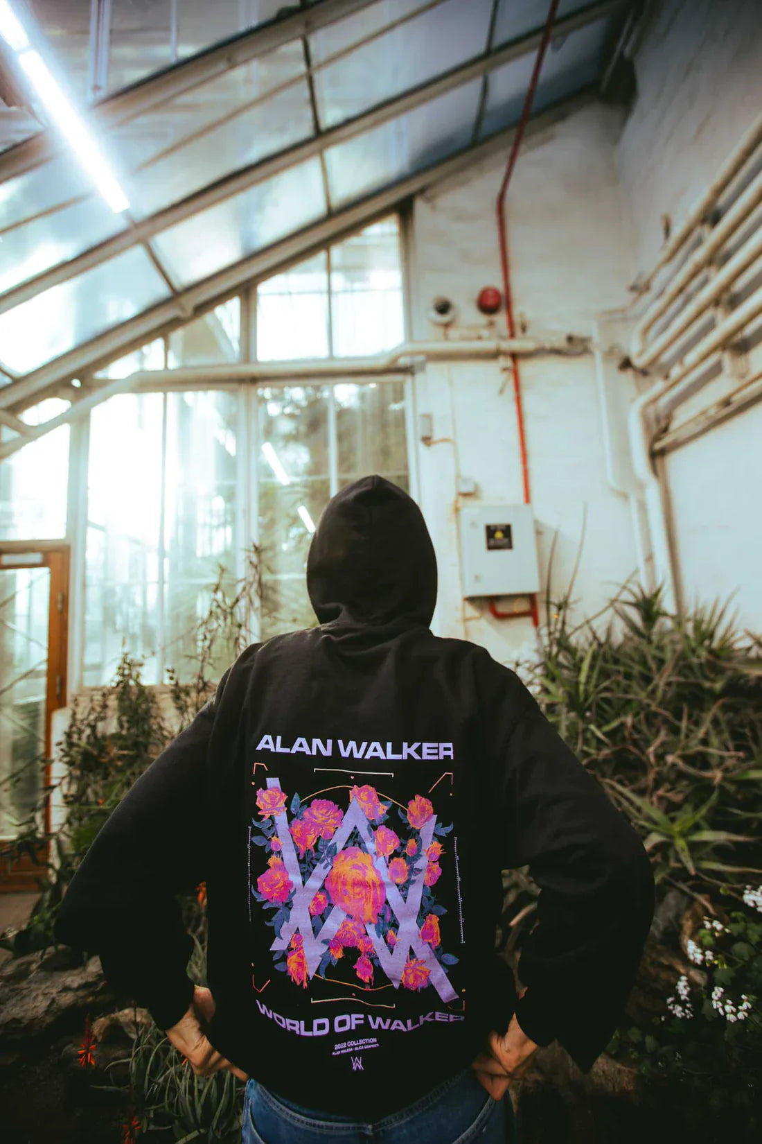 Dynamic back view of the Melting Rose Hoodie, with Alan Walker's logo surrounded by roses, worn in an exotic greenhouse setting.