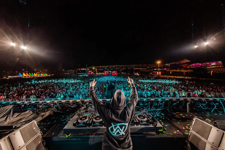 DJ on stage at a vibrant electronic music festival, back facing the crowd, wearing a hoodie with a blue Alan Walker logo, the epitome of live music energy.