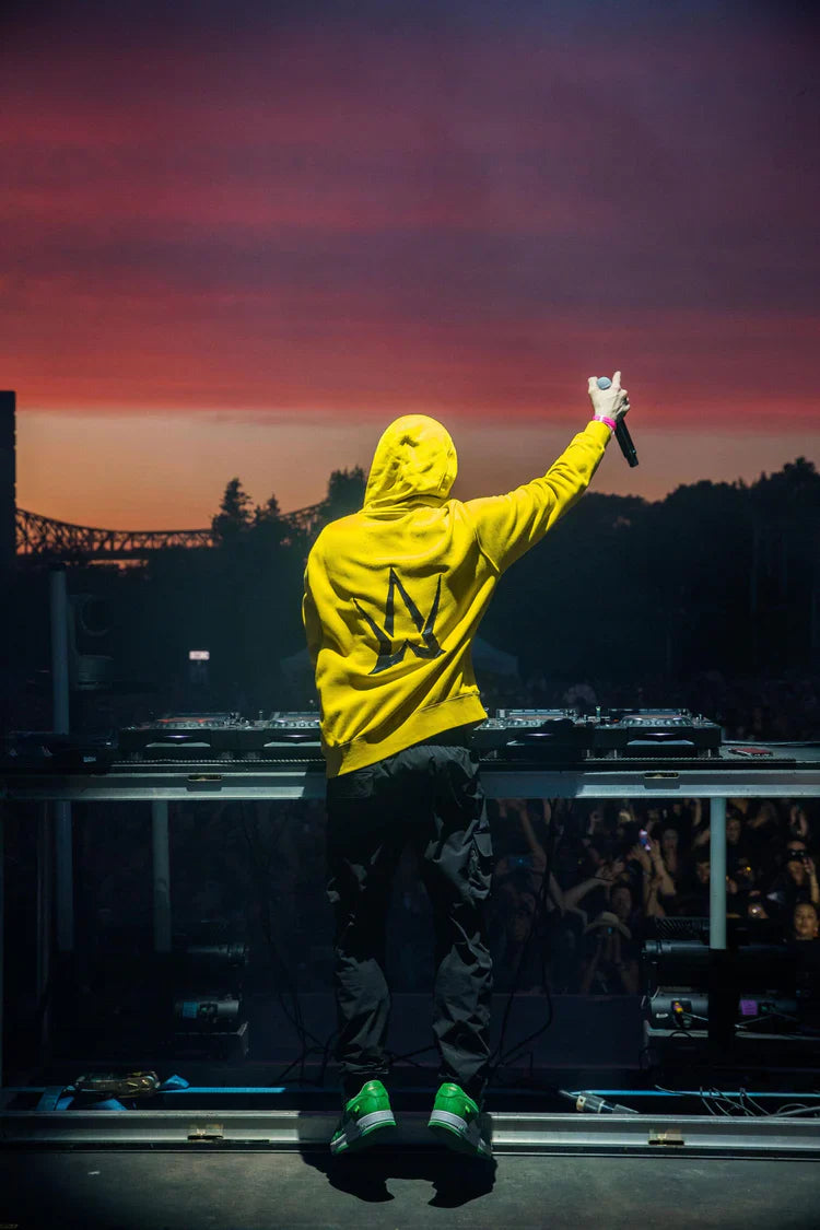 Alan Walker performing in Yellow Walkerverse Hoodie on stage with arms raised to cheering crowd.